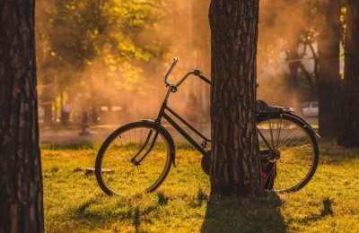 behind the wheel instruction log 30 hours